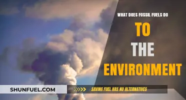 Fossil Fuels: Damaging Our Environment
