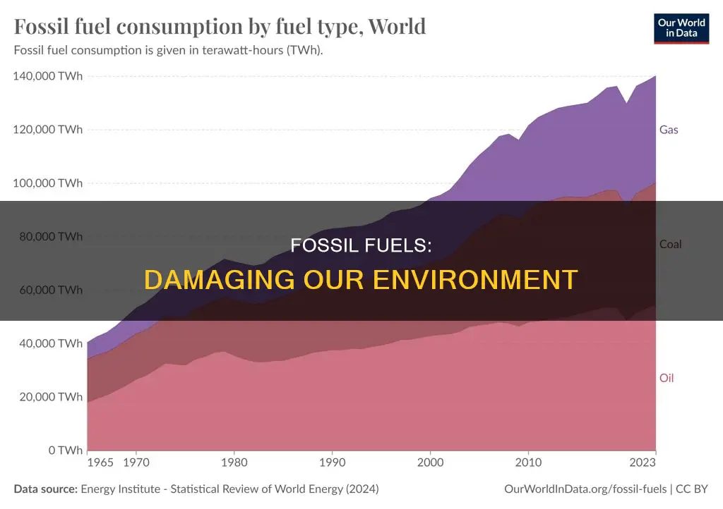 what does fossil fuels do to the environment