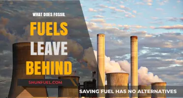 Fossil Fuels' Legacy: Pollution, Climate Change, and Environmental Destruction