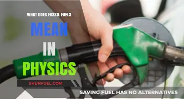 Understanding Fossil Fuels: Physics, Energy, and Environmental Impact Explained