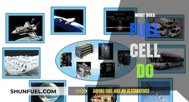 Understanding Fuel Cells: Functions, Benefits, and Real-World Applications