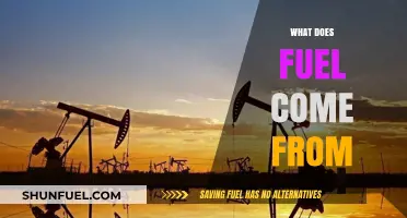 Unveiling the Origins: Where Does Our Fuel Really Come From?