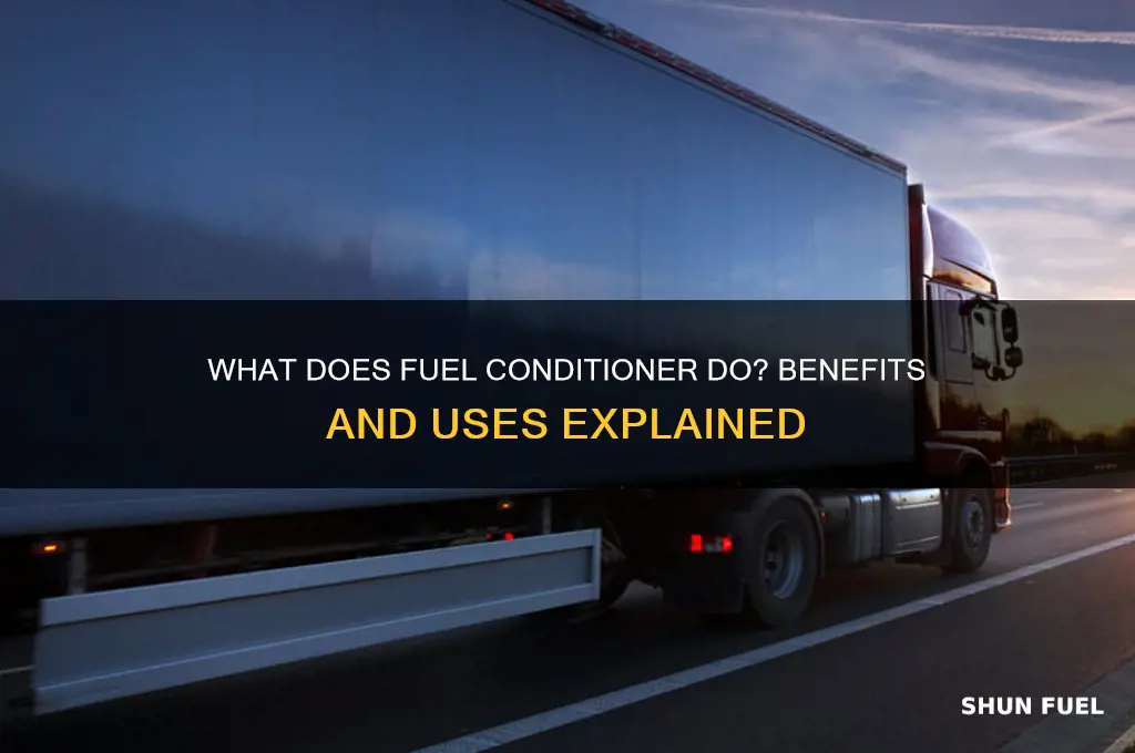 what does fuel conditioner do