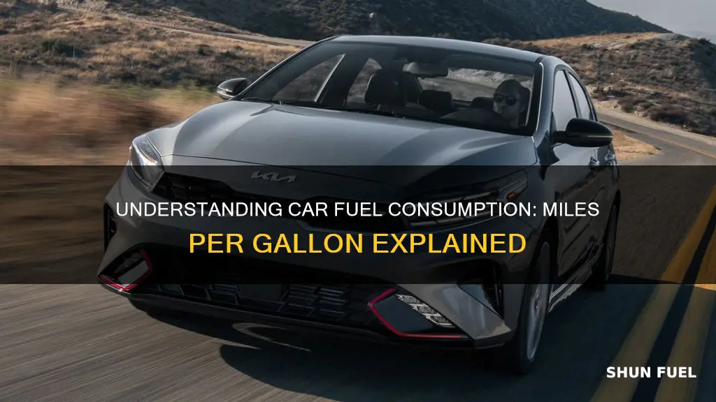 what does fuel consumption mean in a car