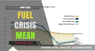 Understanding the Fuel Crisis: Causes, Impacts, and Global Implications