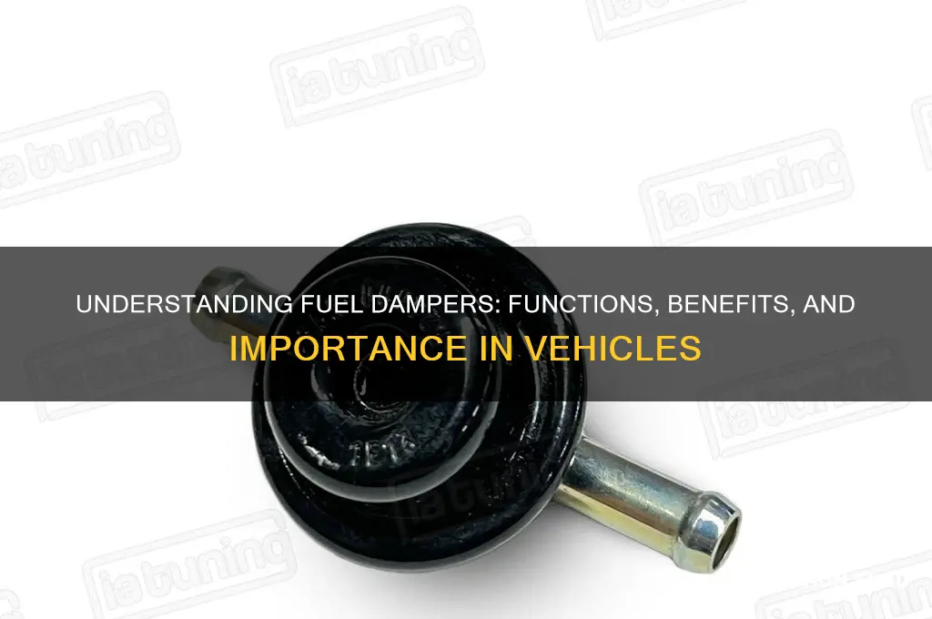 what does fuel damper do