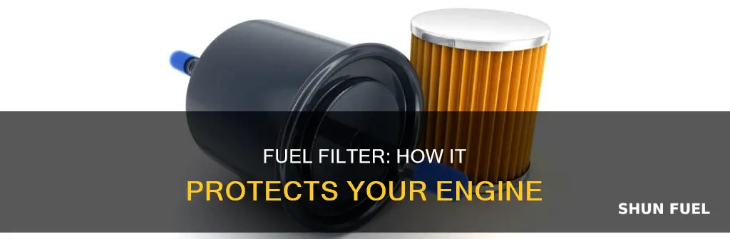 what does fuel filter does