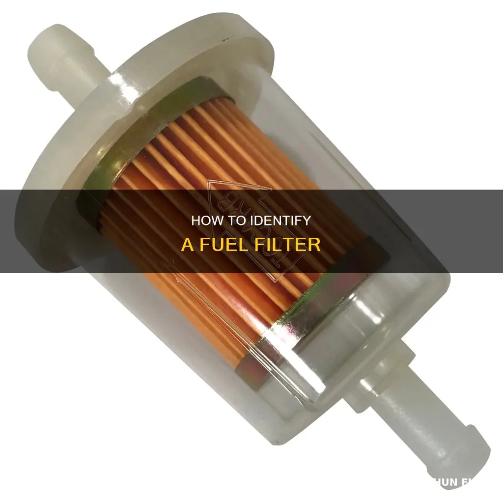 what does fuel filter look like