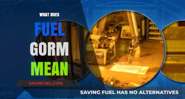 Understanding Fuel Gorm: Meaning, Importance, and Practical Applications Explained