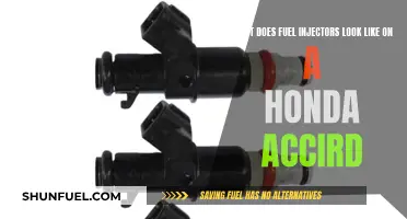 How Honda Accord Fuel Injectors Look Like