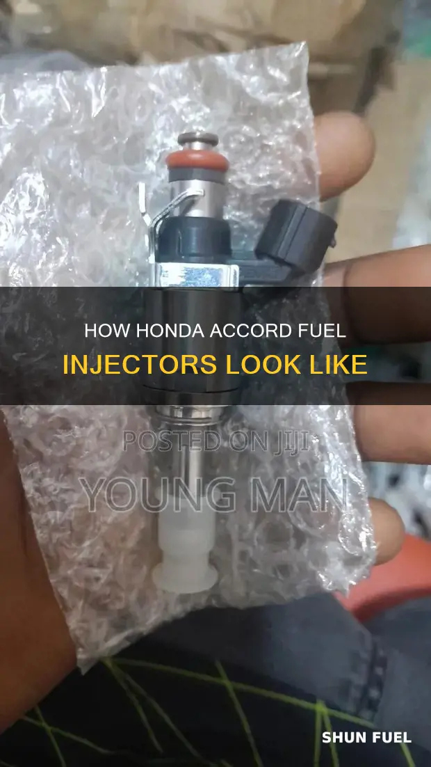what does fuel injectors look like on a honda accird