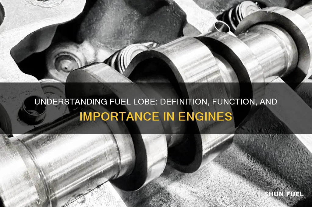 what does fuel lobe mean
