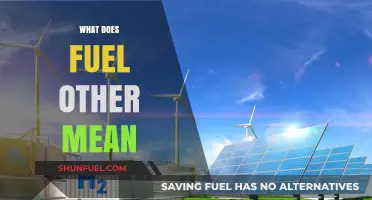 Understanding 'Fuel Other': Exploring Alternative Energy Sources and Their Impact