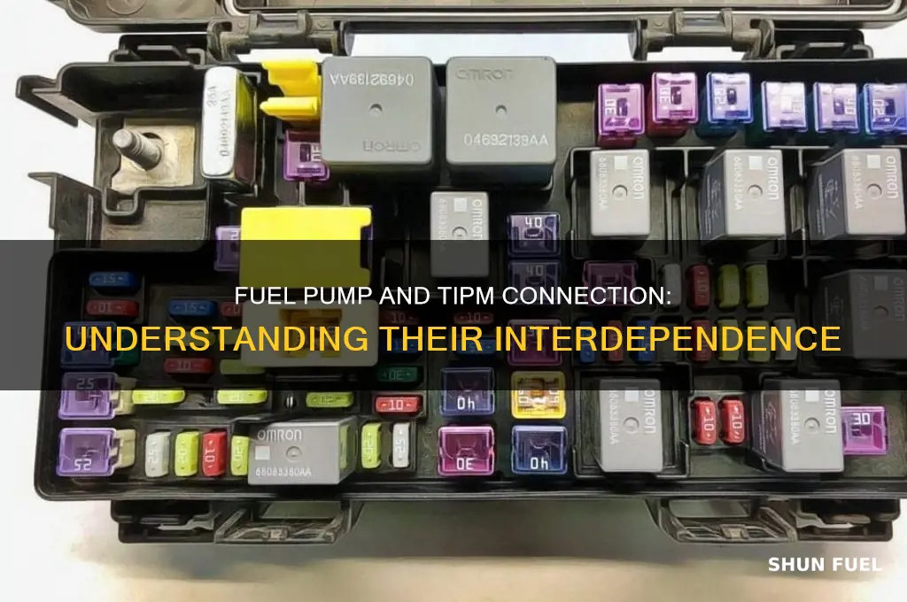 what does fuel pump have to do with tipm