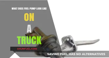 What Does a Fuel Pump Look Like on a Truck?