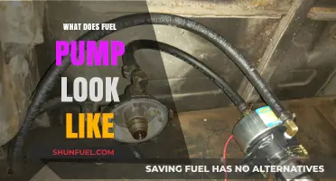 What Does a Fuel Pump Look Like? A Visual Guide