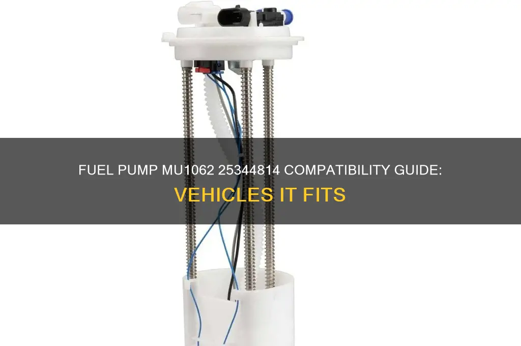 what does fuel pump mu1062 25344814 fit