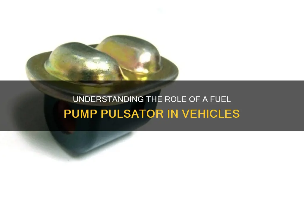 what does fuel pump pulsator do