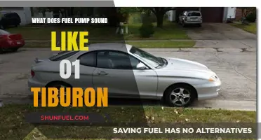 Identifying Fuel Pump Noise in a 2001 Hyundai Tiburon