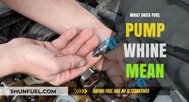 Understanding Fuel Pump Whine: Causes, Diagnosis, and Repair Solutions