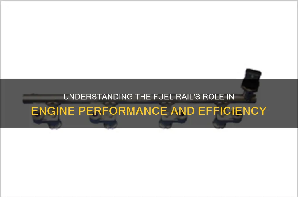 what does fuel rail do
