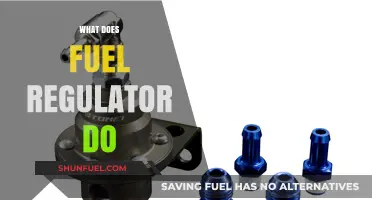 Understanding the Role of a Fuel Regulator in Your Vehicle