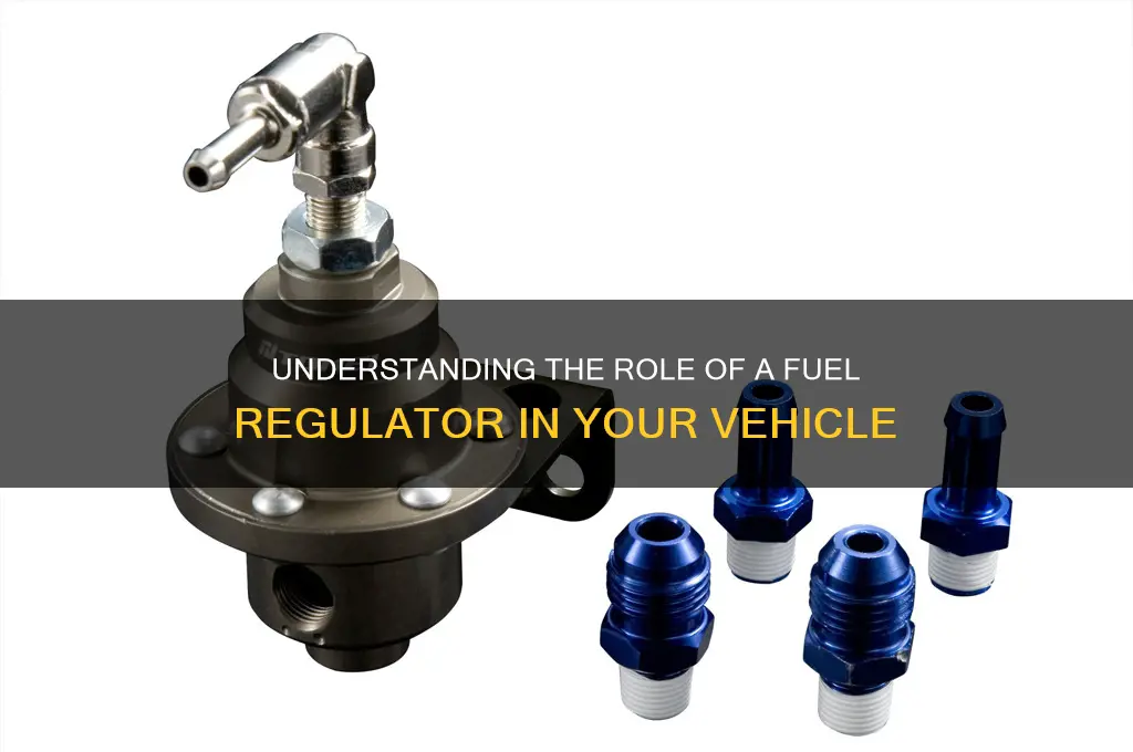 what does fuel regulator do