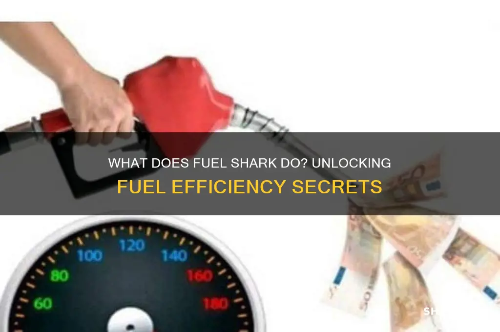 what does fuel shark do