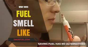 Unraveling the Distinct Aroma: What Does Fuel Smell Like?