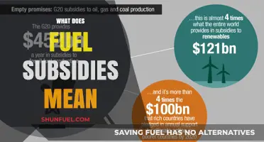 Understanding Fuel Subsidies: Definition, Impact, and Global Implications Explained