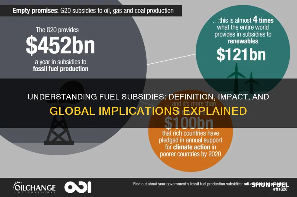 what does fuel subsidies mean