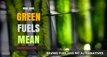 Understanding Green Fuels: Sustainable Energy Sources for a Cleaner Future