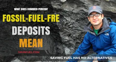 Understanding the Impact of Fossil-Fuel-Free Deposits on a Greener Future