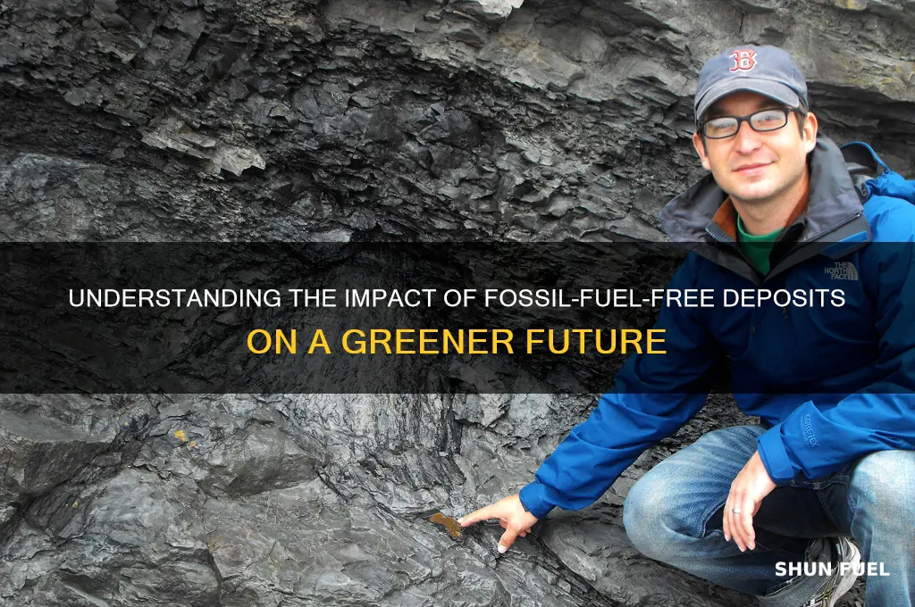 what does hundred percent fossil-fuel-free deposits mean