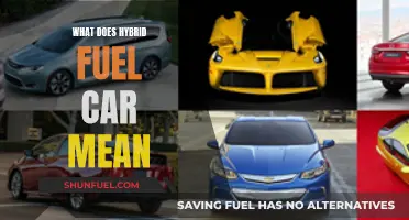 The Evolution of Hybrid Fuel Cars: Understanding the Basics