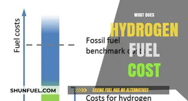 Hydrogen Fuel Cost: Current Prices, Factors, and Future Trends
