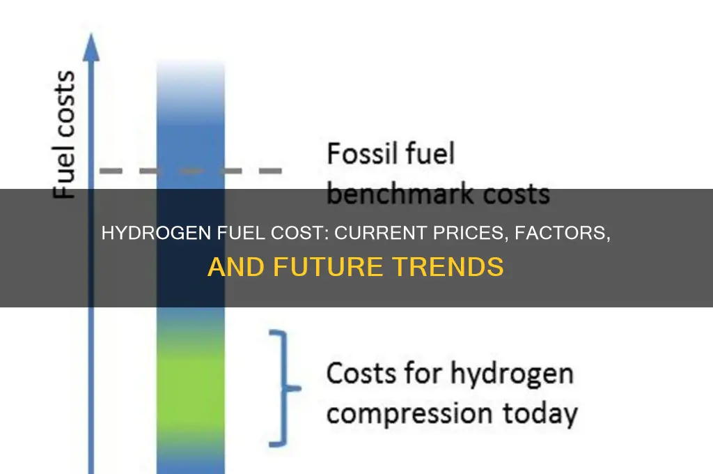 what does hydrogen fuel cost