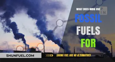 India's Fossil Fuel Usage: Power, Industry, and Transportation Explained
