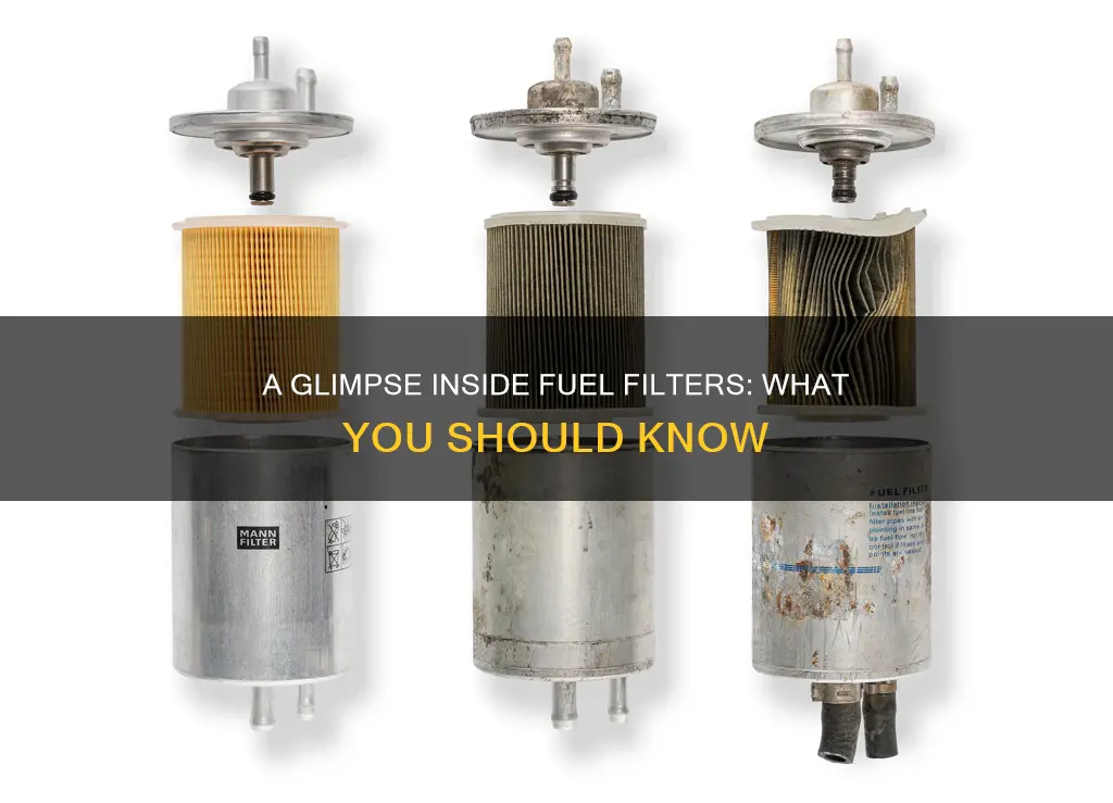 what does inside of a fuel filter look like