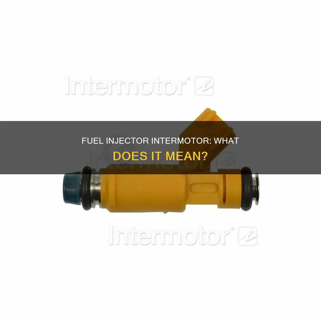 what does intermotor mean for fuel injector