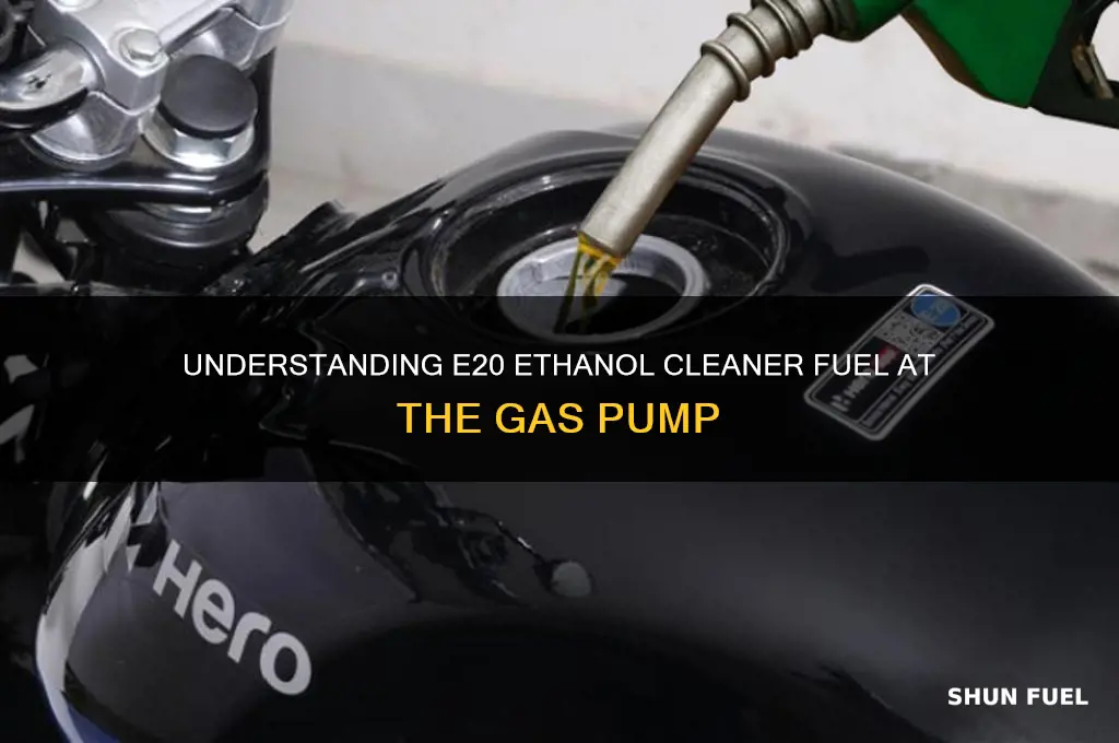 what does it mean 20 ethonal cleaner fuel gas pump