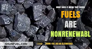 Understanding Nonrenewable Fossil Fuels: Finite Resources and Future Implications