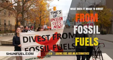 Understanding Divestment: Breaking Free from Fossil Fuel Investments