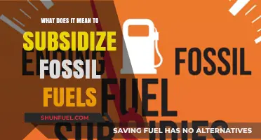 Understanding Fossil Fuel Subsidies: Impact, Costs, and Global Implications