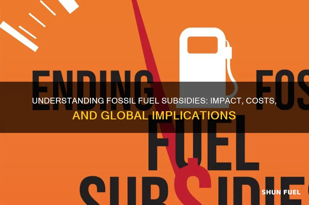 what does it mean to subsidize fossil fuels