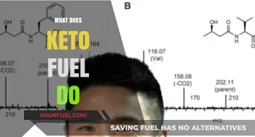 Understanding Keto Fuel: Benefits, Uses, and Impact on Your Body