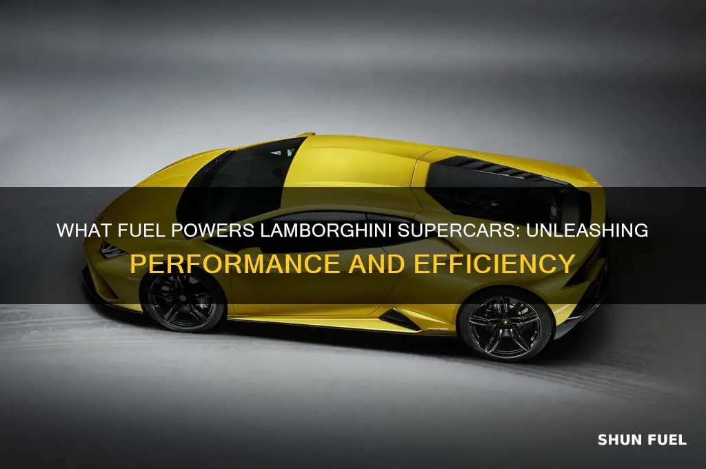 what does lamborghini fuel