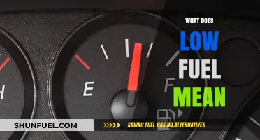 Understanding Low Fuel Warnings: What It Means and How to Respond