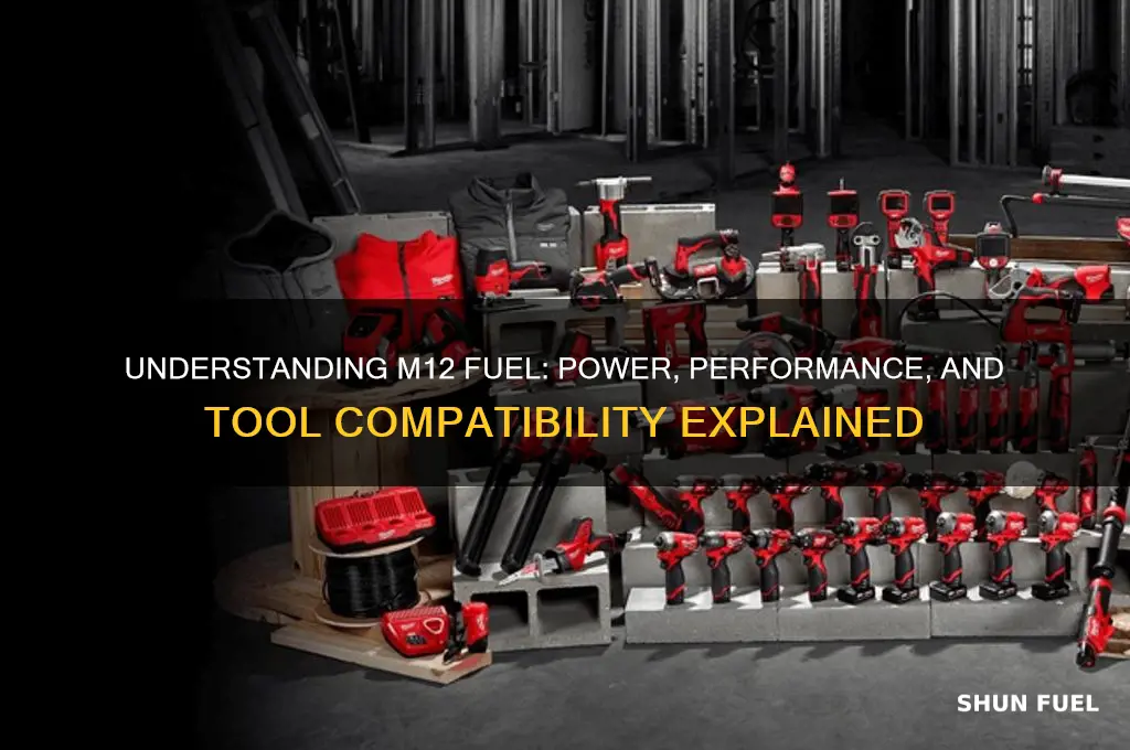 what does m12 fuel mean