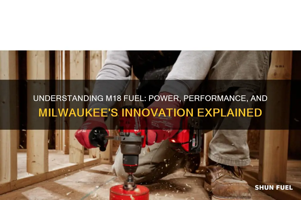 what does m18 fuel mean